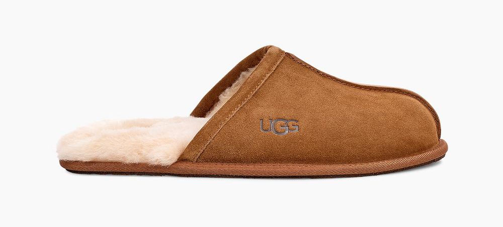 Ugg Scuff - Mens Slippers - Brown - NZ (4973DIVLB)